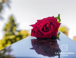 funeral laico