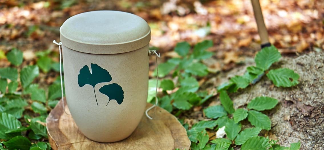 urnas funerarias biodegradables