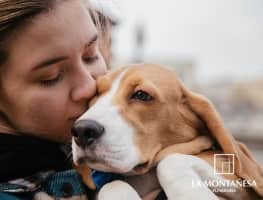 Dónde enterrar a mi mascota