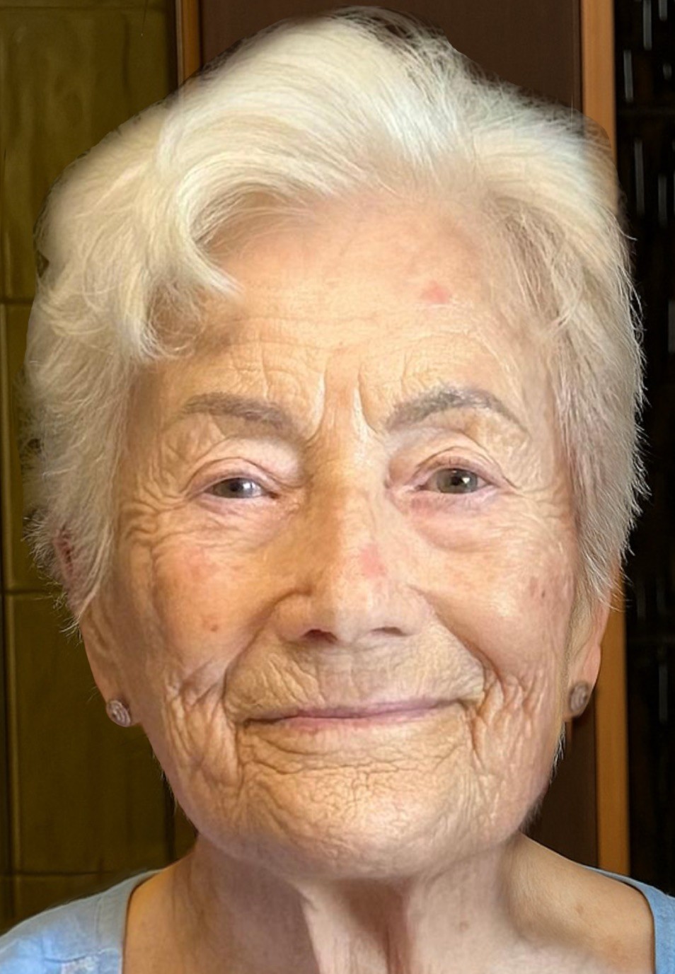 HERMINIA CANALES MENCHACA