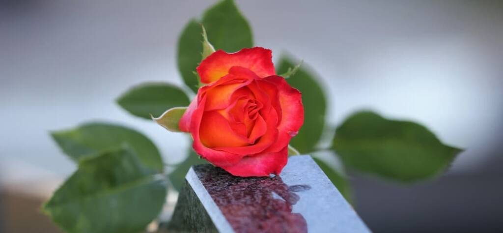 Dar el pésame y expresar condolencias