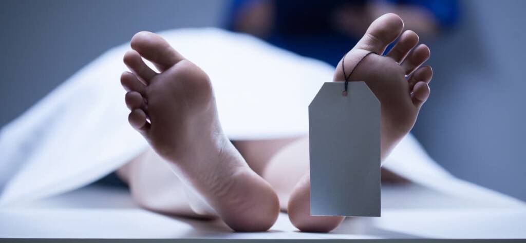 Fases del rigor mortis