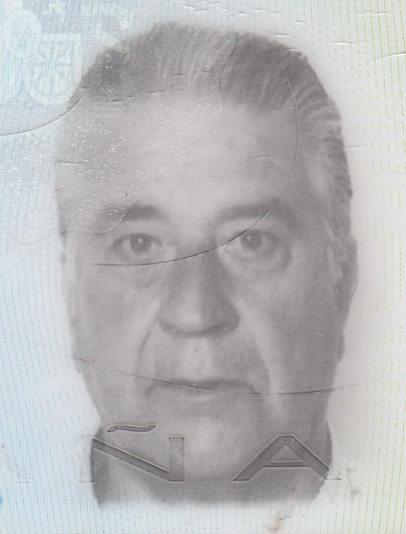 MANUEL REVUELTA REVUELTA