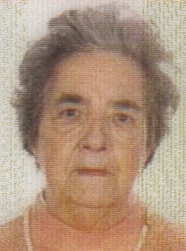 MARIA CARMEN ALONSO COBO