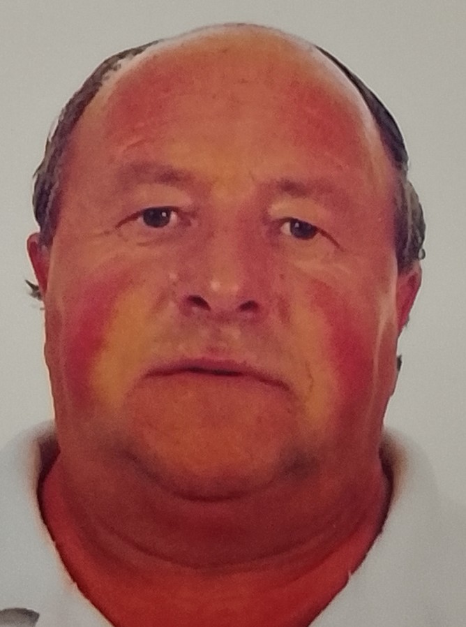 TOMAS MINGUEZ TORICES