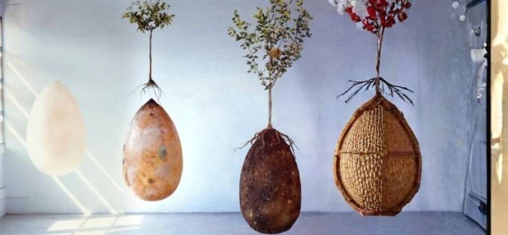 Qué es la capsula mundi