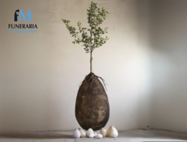 Qué es la capsula mundi