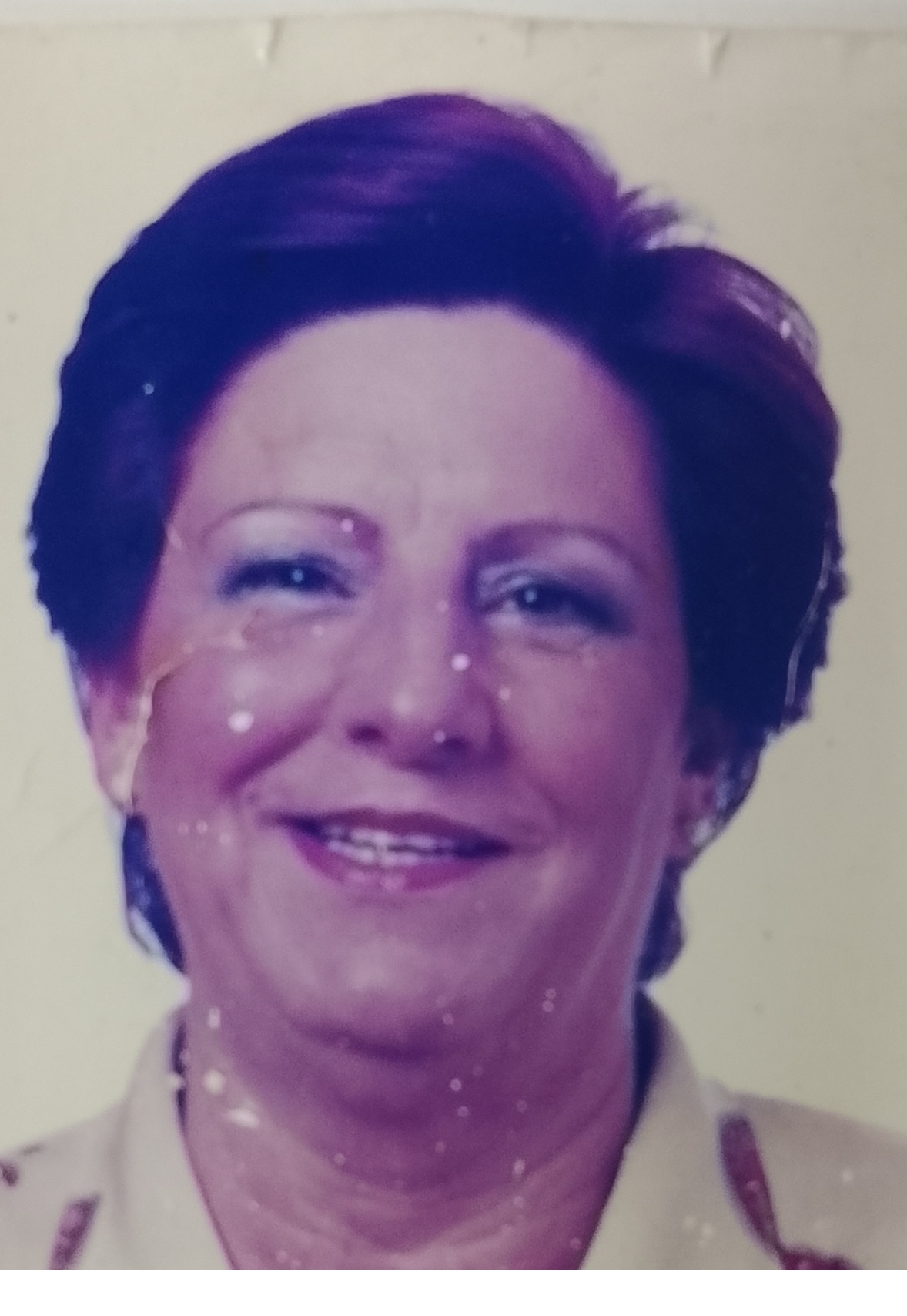 ANA CARMEN MINGO BUSTAMANTE