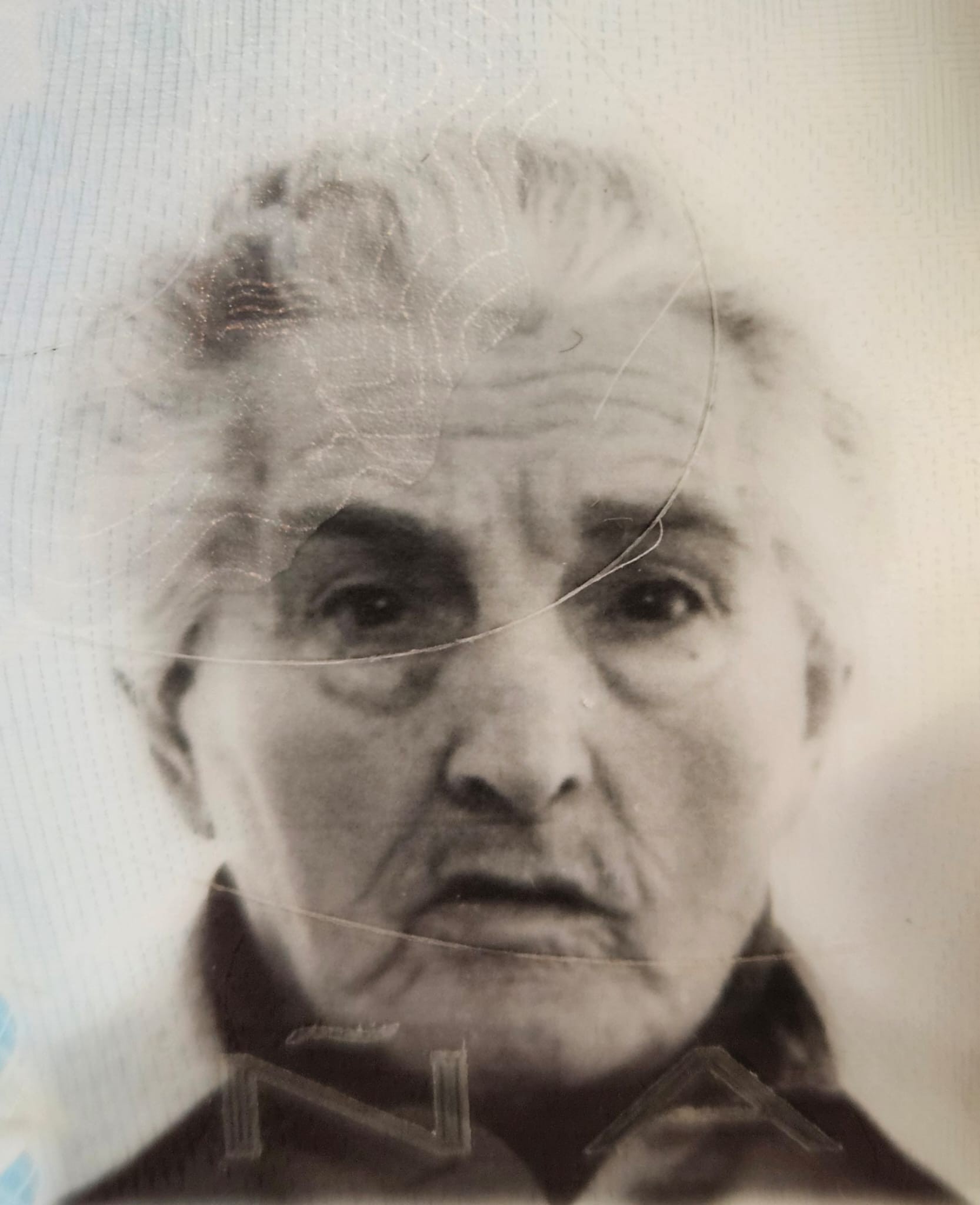 FOTO JULIA DOMINGUEZ VAQUERO