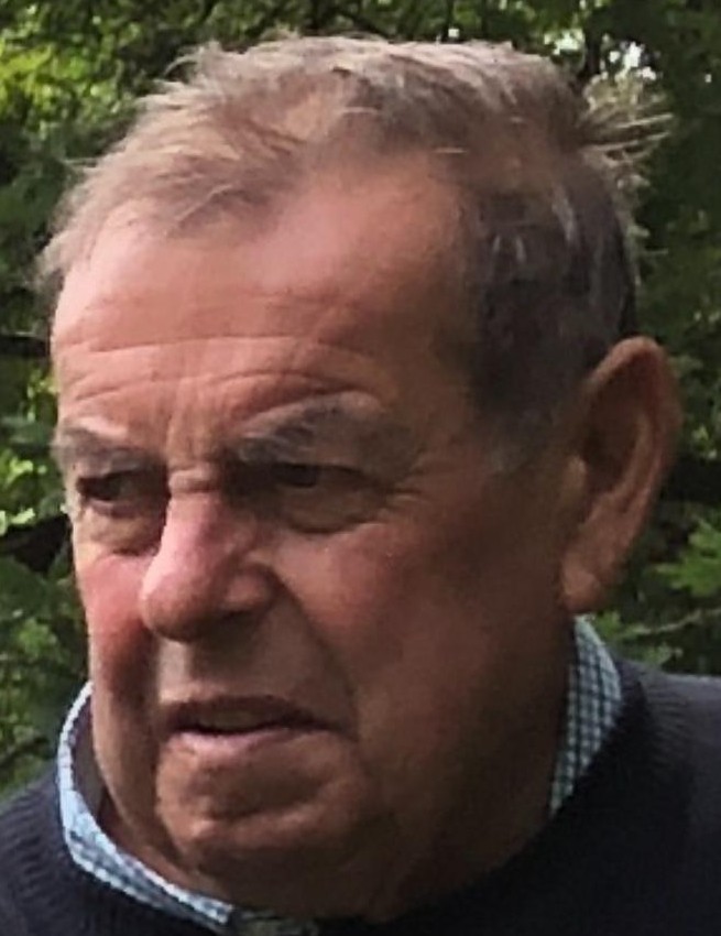 ANGEL SAN ROMAN PARDO