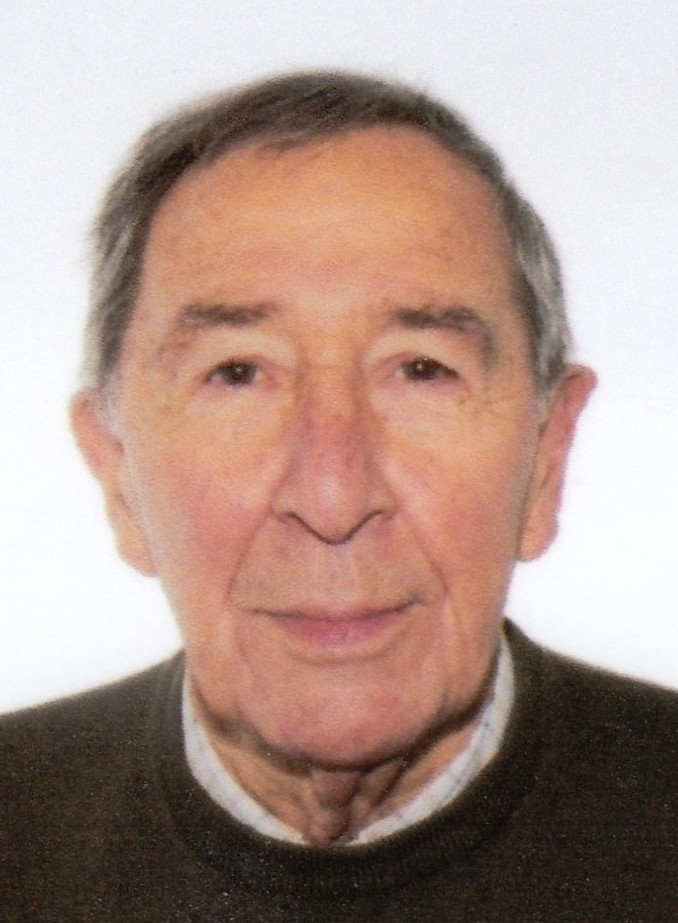 JOSE CARLOS AVELLANOSA SAIZ