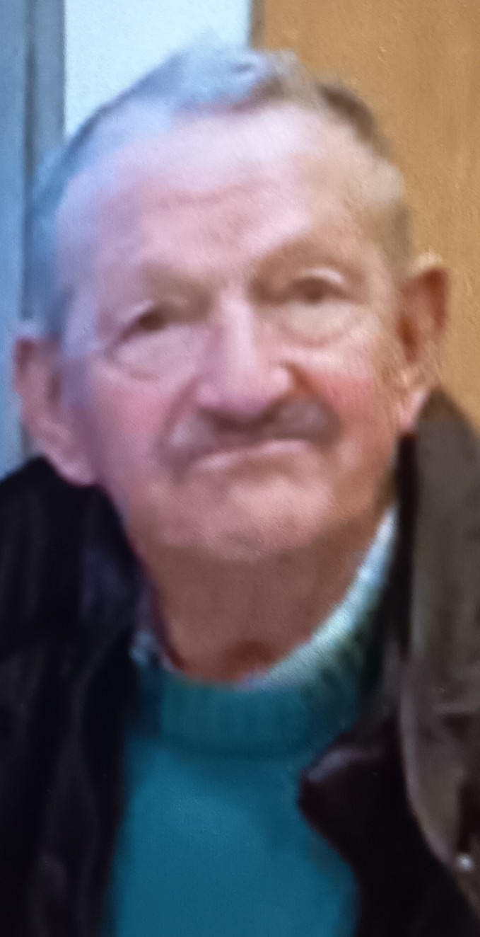 VICTOR DE CELIS ALONSO