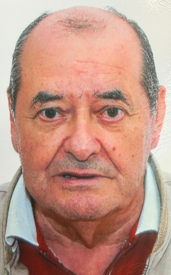 LUIS RUIZ REVILLA