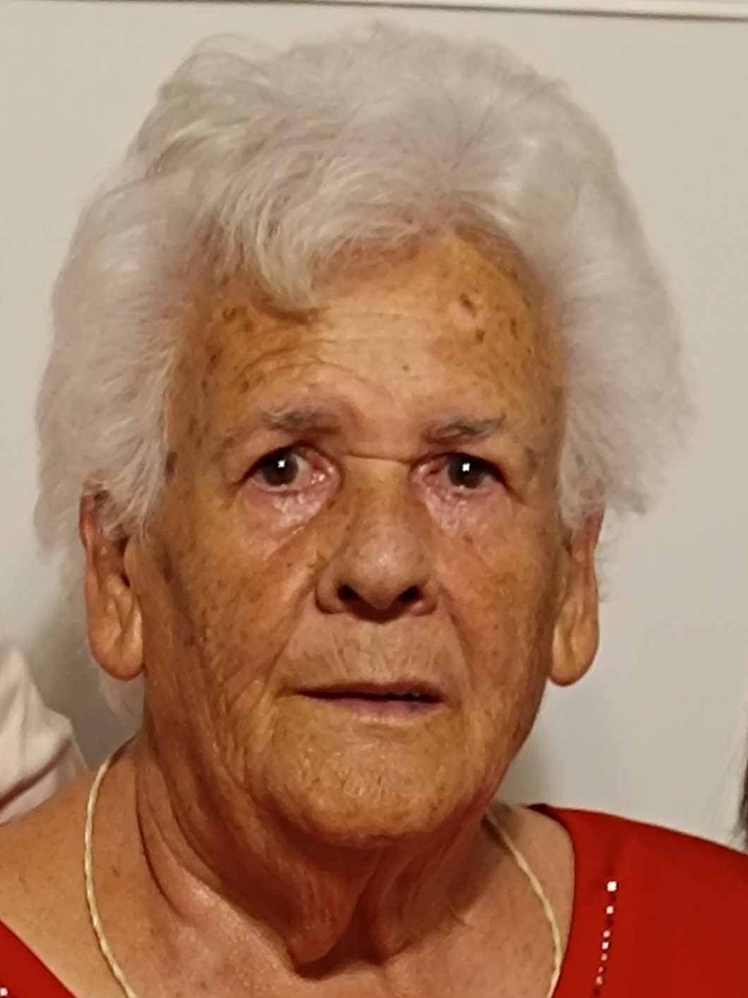PILAR LAINEZ FUENTES