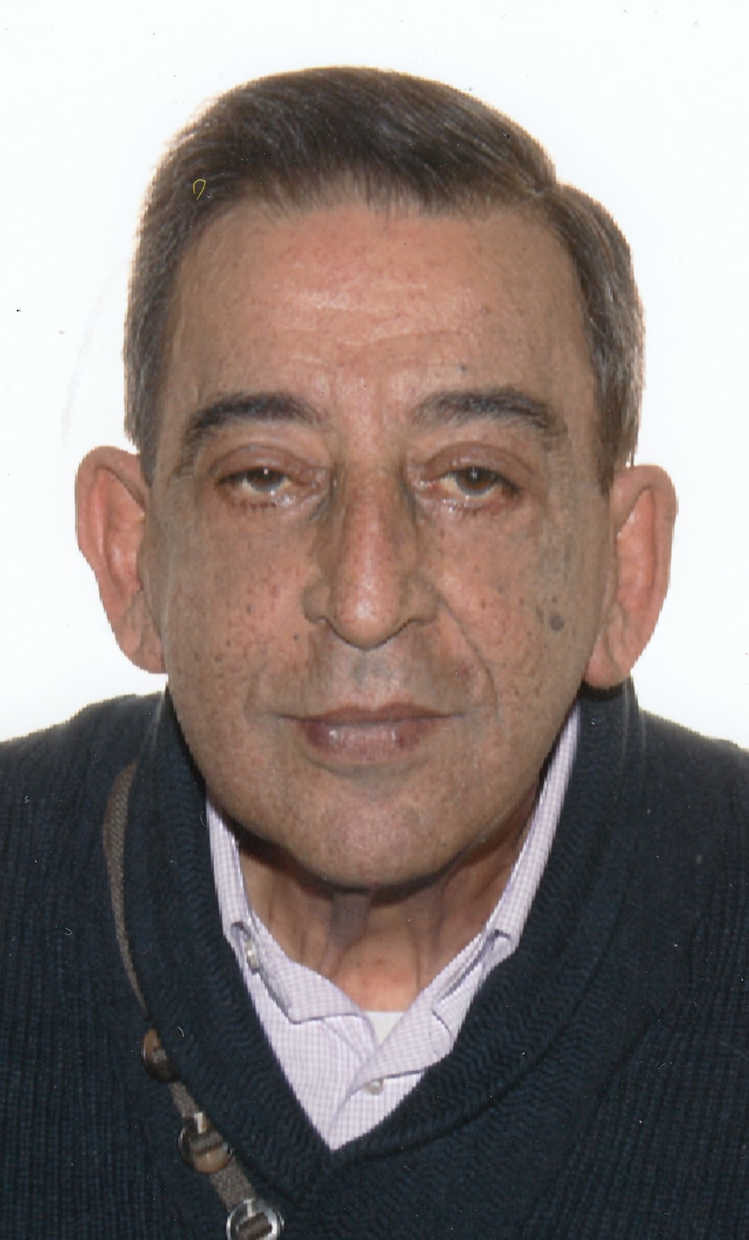 JOSE LUIS GOMEZ CAGIGAS