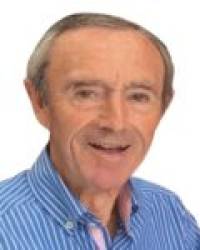 D. Andrés Cruz Domínguez