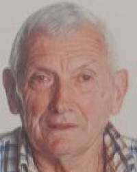 D. Andrés Pérez Pelayo