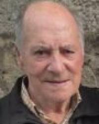 D. Antonio Cobo Lavín