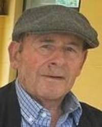 D. Benigno Peña Fernández