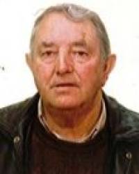 D. Celestino Menéndez Artime