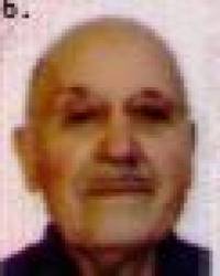 D. Guillermo Gómez Aguado