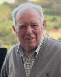 D. José Susinos Ruiz