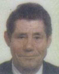D. Manuel Álvarez Alonso