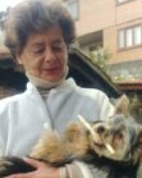 Dña. María Rosa Alonso Montes