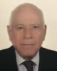D. Miguel Ángel Merino Fernández