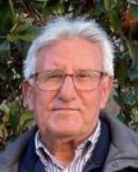 D. Olegario Vara Diego