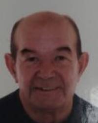 D. Rafael Viaña Palomino