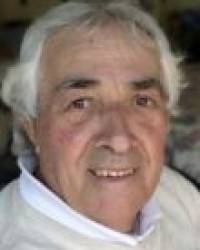 D. Teodoro Frechilla Alonso